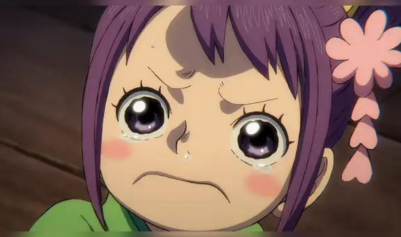 “One Piece”, capítulo 1020: ¿dónde ver el estreno del anime ONLINE?