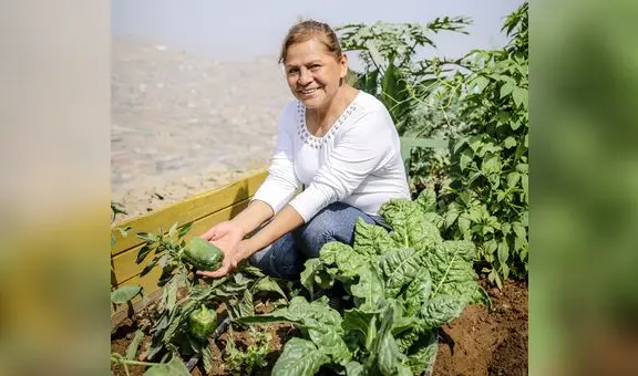 Estrategias contra el hambre