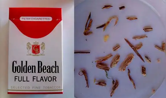 ¡Cuidado! Descubren restos de insectos en cigarrillos de contrabando