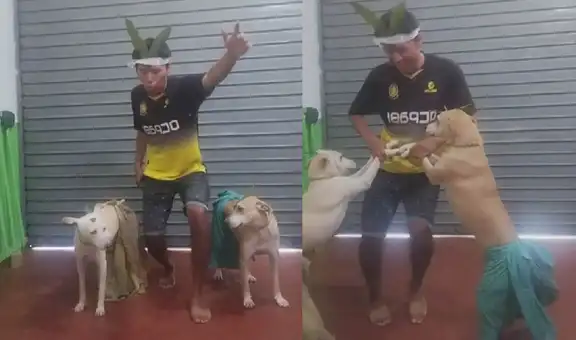 Joven disfraza a sus perritos para bailar una danza selvática y encantan con sus mejores pasos