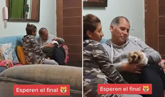 Joven graba a sus padres mientras arrullan a su perrito y video enternece las redes