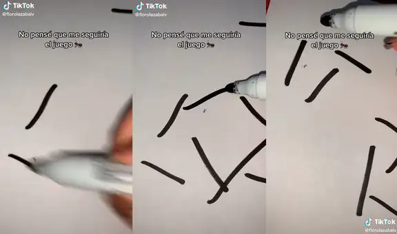 Encuentra una hormiga y juega con ella para evitar el aburrimiento