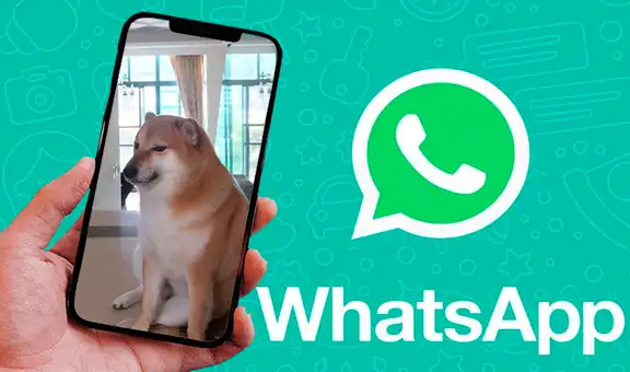 WhatsApp: así podrás colocar la foto de tu adorada mascota como fondo en tus chats