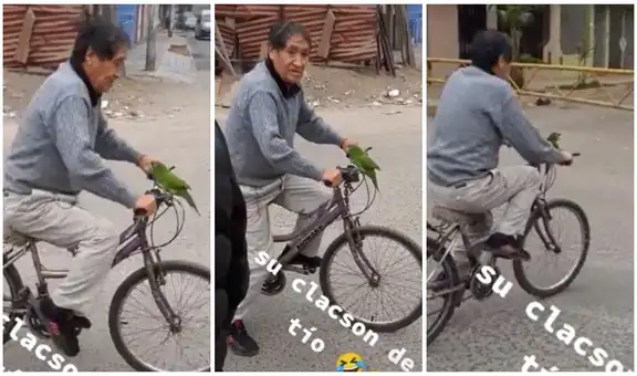 Adulto mayor pasea con su lorito que hace de claxon de bicicleta: “El timbre de Los Picapiedra”