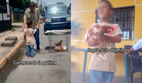 Niño deja de comer golosinas para ahorrar dinero y comprarse la gallina que quería de mascota