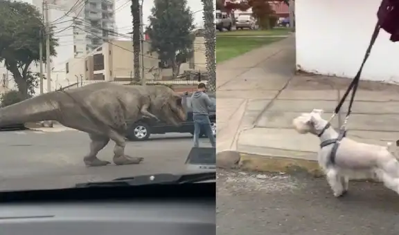 Joven sale a pasear con su disfraz de dinosaurio y ‘asusta’ hasta al perro de la vecina