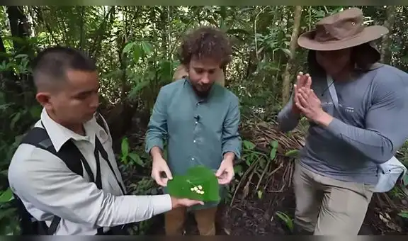 Luisito Comunica muestra con qué insectos se alimenta en la selva peruana y el sabor sorprende