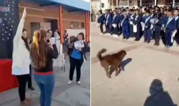 Colegio primario entrega una diploma a perro callejero por encargarse de ‘cuidar’ a los niños