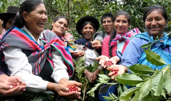 Perú obtiene el premio al mejor café del mundo en Italia  