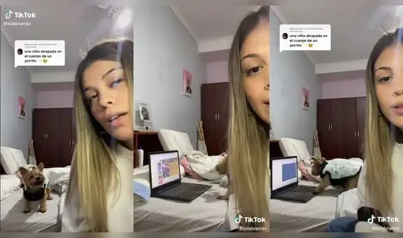 Perrita sorprende al pedirle a su dueña que le deje usar la laptop para ver su programa favorito