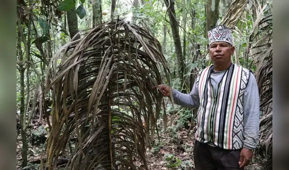 Pueblos indígenas en aislamiento y contacto inicial en riesgo por culpa de minería y tala