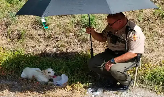 Policía socorre a perrita afectada por la ola de calor en plena calle y termina adoptándola
