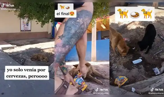 Hombre iba por cervezas a la bodega, pero halla un perro callejero y decide comprarle comida