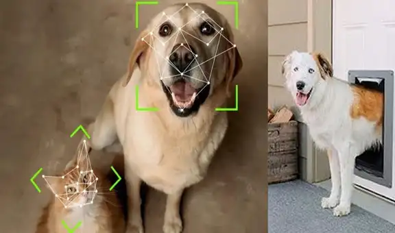 Crean puerta para mascotas con reconocimiento facial para que solo pueda usarla tu gato o perro