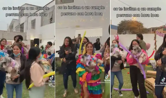 Perrito festeja su cumpleaños con todos sus ‘amigos’ y hasta tiene hora loca