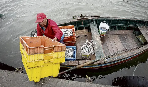 Congreso propone reactivar la pesca artesanal a través de las compras estatales