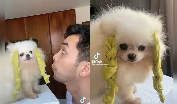 Tiktoker y sus perritos saltan a la fama tras interpretar escenas de películas de Hollywood