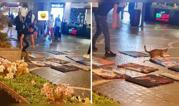 Gatito hace de las suyas para ‘ayudar’ a vender cuadros de pintura en la vía pública
