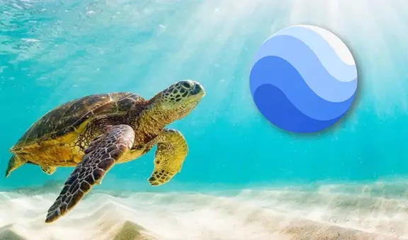 Google Earth: así podrás visitar el fondo marino desde tu smartphone o computadora