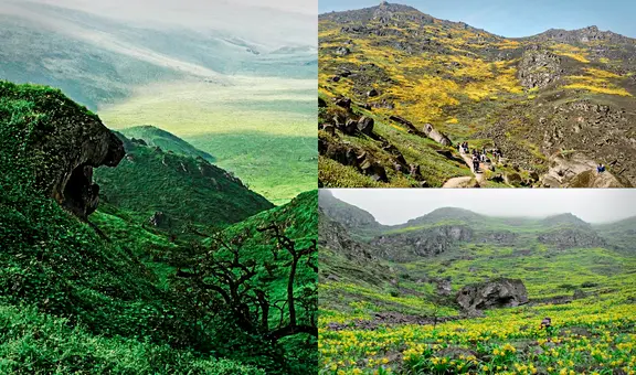 ¿Buscas conectar con la naturaleza? Visita 3 lomas cercanas con solo 15 soles