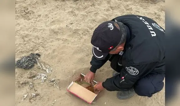 Extorsionadores dejan explosivo y carta amenazante a panadero para exigirle S/15.000 en Trujillo