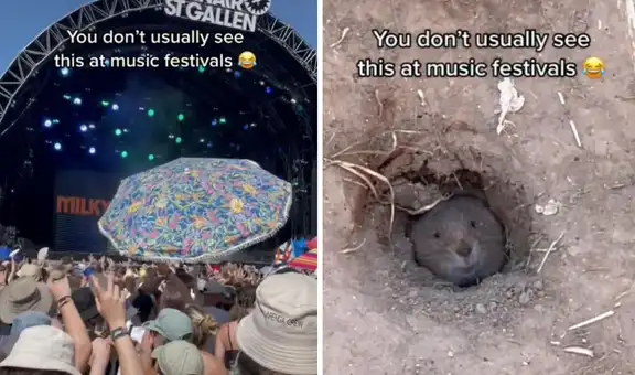 Asiste a un festival de música y encuentra a un curioso espectador bajo el suelo