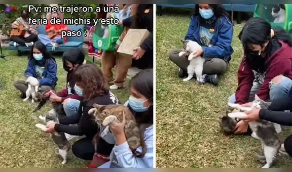 Jóvenes hacen bailar a sus gatitos “Mi bebito fiu fiu” en feria felina y se roban el show