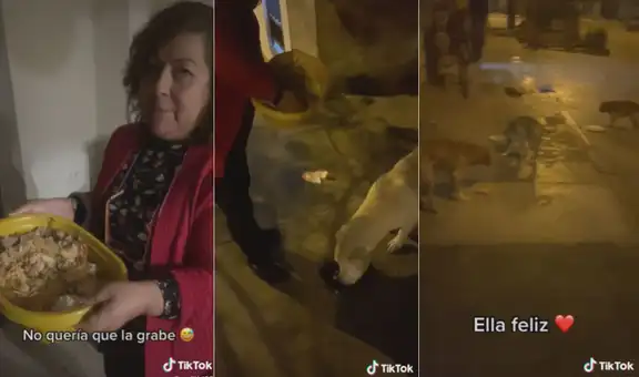 Mujer junta comida y sale todas las noches a repartirla a perritos callejeros de su vecindario