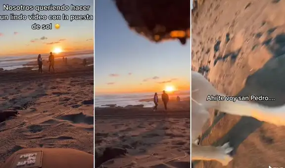 Perrito travieso le roba el celular a una pareja que quería grabar la puesta del sol