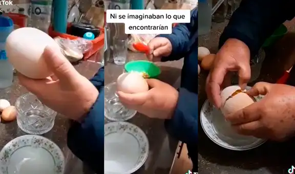 Gallina pone huevo gigante, su dueña lo abre y descubre una gran sorpresa en su interior