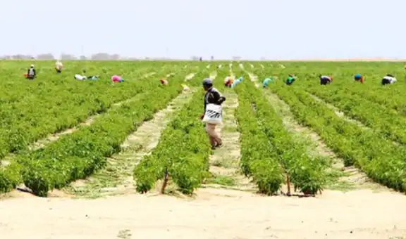 Conajup: cerca de 500.000 agricultores participarán del paro agrario de este 18 y 19 de julio