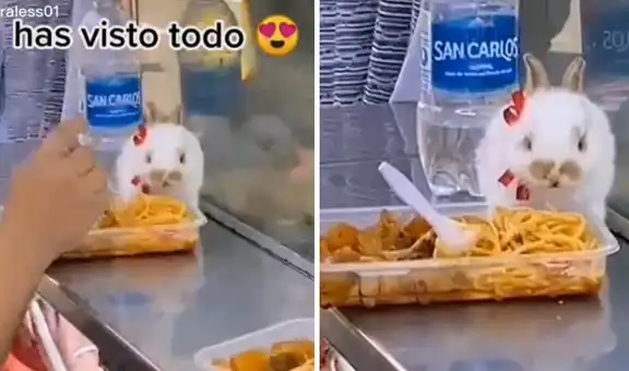 Conejito es captado comiendo un ceviche combinado de carretilla junto a su dueña