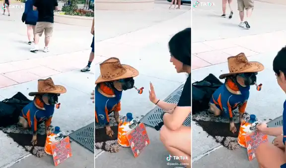 Emprendimiento canino: perrito solo da la pata a turistas que le dejan propina en su alcancía