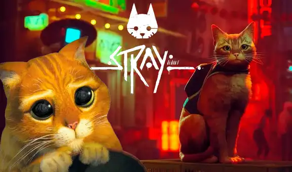 Stray: gamers piden reembolso en Steam porque pueden terminar el juego en menos de dos horas