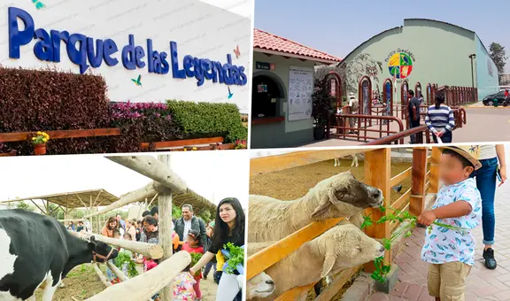 Zoológicos en Lima: ¿cuáles puedo ir a visitar por Fiestas Patrias?