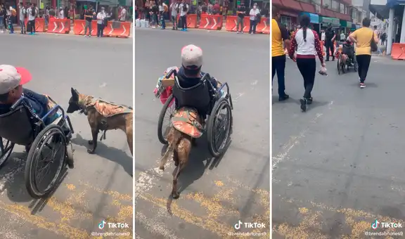 Fiel perrito ayuda a su dueño con discapacidad a empujar su silla de ruedas para ir a trabajar