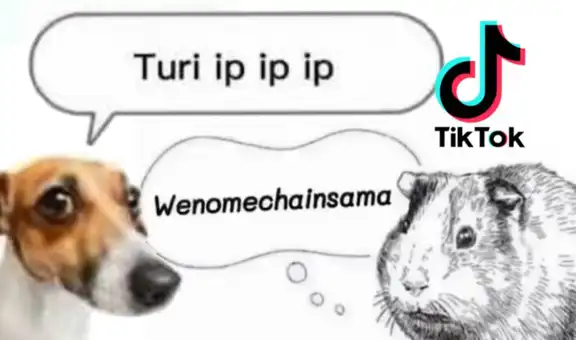 ¿Cómo nacieron los memes ‘Wenomechainsama’ y ‘Turi ip ip ip’ que son tendencia en TikTok?