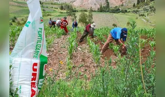 Fertilizantes: habrá un cuarto proceso de licitación de urea, confirma Midagri