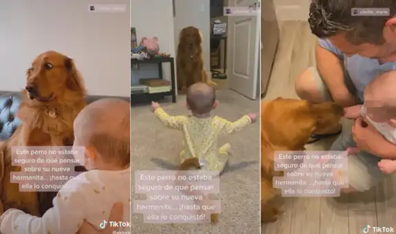 Mujer intenta que su perro conozca a su bebé, can se niega, pero luego se enamora de ella