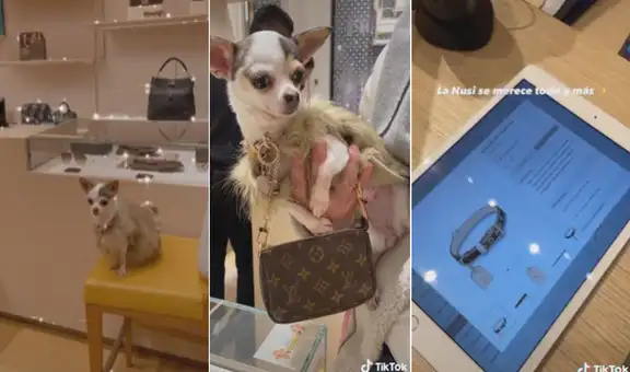 Joven lleva a su perrita a tienda Louis Vuitton y le compra un collar de 1.290 soles