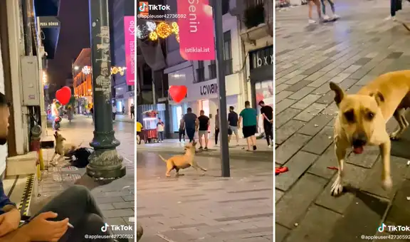 Joven se conmueve al ver a perrita sin hogar jugando con un globo que encontró en la calle