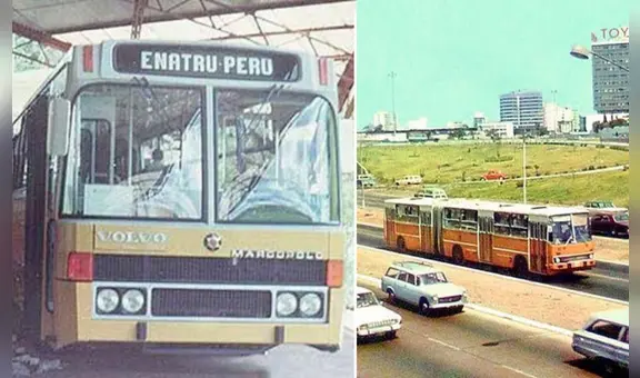 Ikarus: ¿qué pasó con los buses articulados que transitaban por Lima antes que el Metropolitano?