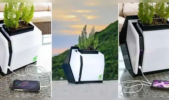 ¿Es posible cargar un teléfono con la energía de una planta o papa?