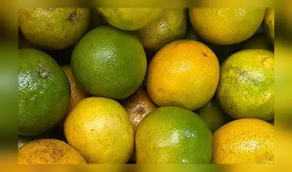 Se cayeron las ventas de naranja peruana al Reino Unido: no compraron una sola hasta junio