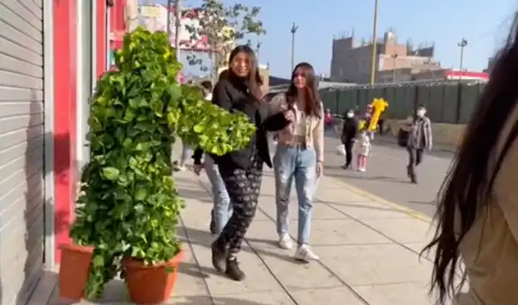 Arbusto viviente se apodera de las calles de Lima y asusta a todo aquel que pase por su lado