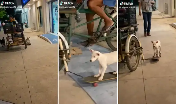 Perrito montado en una tabla de skate acompaña a trabajar a vendedor ambulante