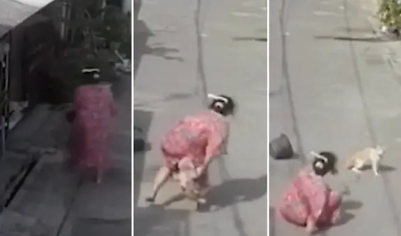 ¿Dulce venganza? Gato hace caer al piso a mujer que le arrojó agua