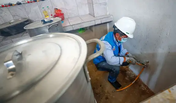 Sector privado renueva agenda para masificar el gas en el Perú