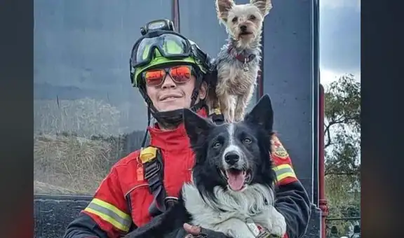 Inició en México primer juicio por maltrato animal a perritos rescatistas envenenados