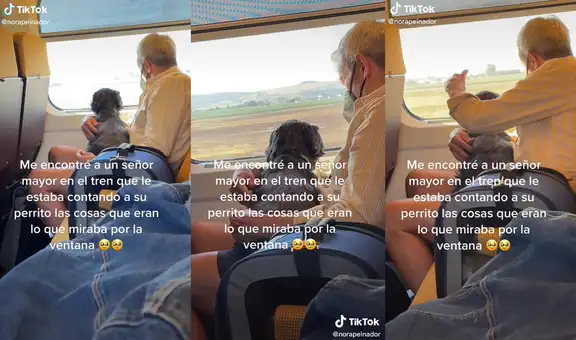 Captan a un adulto mayor explicándole a su perrito todo lo que veían por la ventana del tren
